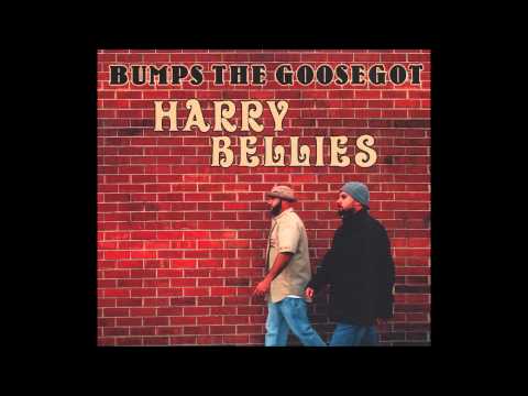 Bumps the Goosegot - Fiesta Sin Gorra