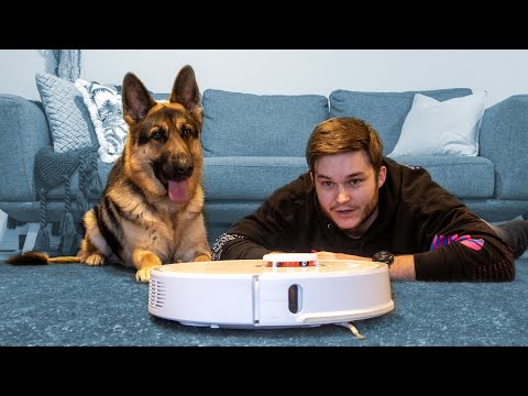 No More Chores! Xiaomi Roborock S50 60 Day 60 Hour Robotic Vacuum review