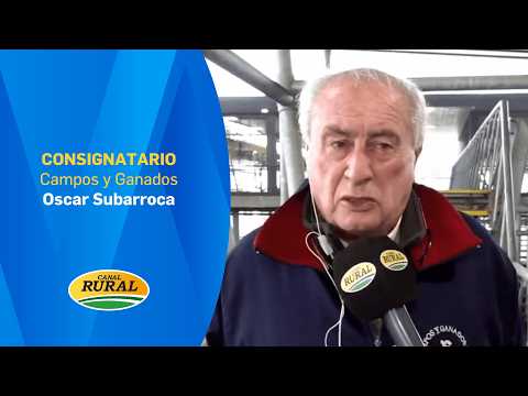 Oscar Subarroca | Consignee | 20/02/26 | MV