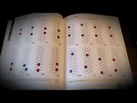 In and Out Basics: Button Accordion Method Book image 4
