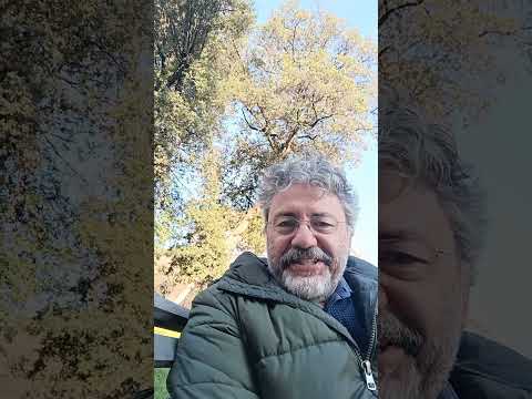 Marco Buticchi secondo Chatgpt