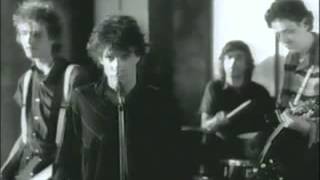 The Replacements-born to lose(live)