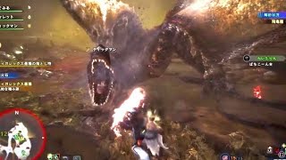 とある日の野良マルチ。深夜に集まりし歴戦のハンターたち【アイスボーン】【MHWI】