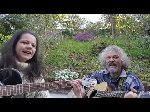 Farewell, So See You Soon (Adio, deci pe curând) - [Cover] Pasărea Colibri