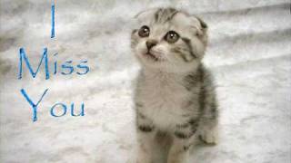 The Snakes & Jorn Lande - What Love Can Do (Lyrics)