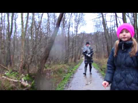 MongoTV_885  - Del 1 - John Ser Tilbage På År 2017