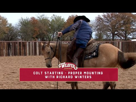 Colt Starting - Proper Mounting with Richard Winters