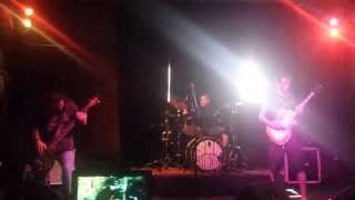 Sungrinder - Black Boar