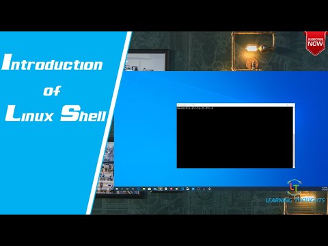 What is Linux Shell and Terminal? – Direct DevOps from Quality Thought