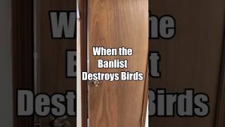 When the Banlist Destroys Birds Yugioh