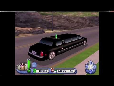 The Sims 2 Pets PS2 - Strats to max all Career Jobs