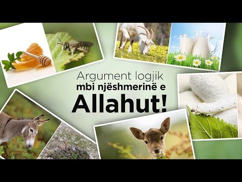 Argument logjik mbi njëshmërinë e Allahut!