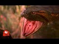 Anaconda 1997 Anaconda Eats Its First Victim Scene Movieclips