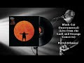 David Gilmour - Black Cat (Instrumental) (Live from the Luck and Strange Concerts)