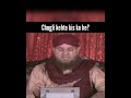 Chugli Kehte Kis Ko He Maulana Abdul Habib Attari Status Dawateislami Whatsapp Short Stories