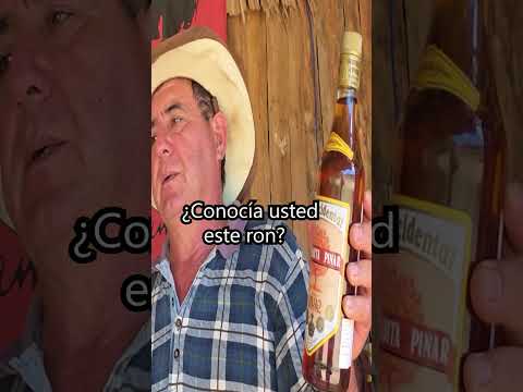 El caballo "ONE DOLLAR" y el secreto de Viñales 🐎🇨🇺 #Cuba #Viñales