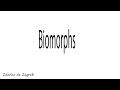 Biomorphs 1987 Full Album Beyond AVANT GARDE Experimental Sampling By Zdenko De Zagreb