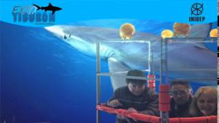 DIA 3 Expo Tiburon77