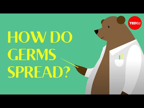 How do germs spread (and why do they make us sick)? - Yannay Khaikin and Nicole Mideo