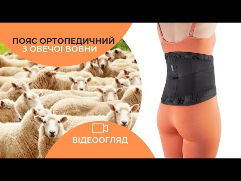 Пояс для спины из овечьей шерсти Ортопедический S (обхват 70-90 см) - фото 1 - id-p639920284