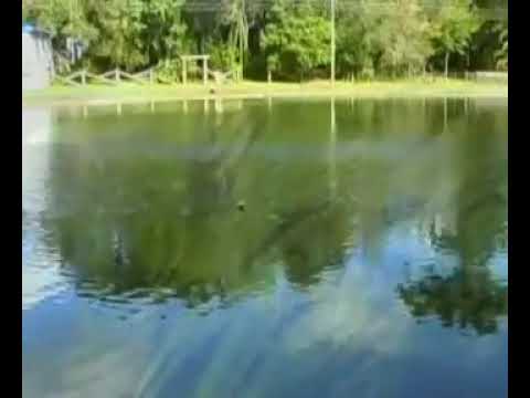 Oséas costa jovem galileu