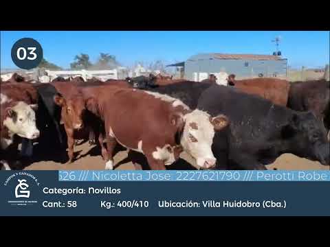 Lote Nll Consumo - Villa Huidobro Córdoba