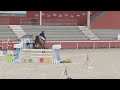 Jolly mood de lessac - 7 ans pour amateur 1 et elite