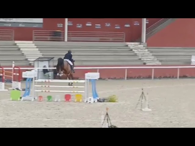 Jolly mood de lessac - 7 ans pour amateur 1 et elite