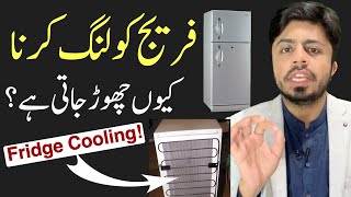 Fridge Cooling Problems Causes and Cautions | Refrigerator Not Cooling