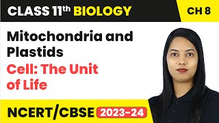 Mitochondria and Plastids - Cell: The Unit of Life | Class 11th Biology Chapter 8 | CBSE 2024-25