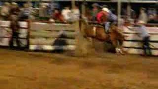preview picture of video 'Caddo Rodeo Horse'
