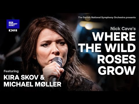 Where The Wild Roses Grow - Nick Cave // The Danish National Symphony Orchestra (Live)