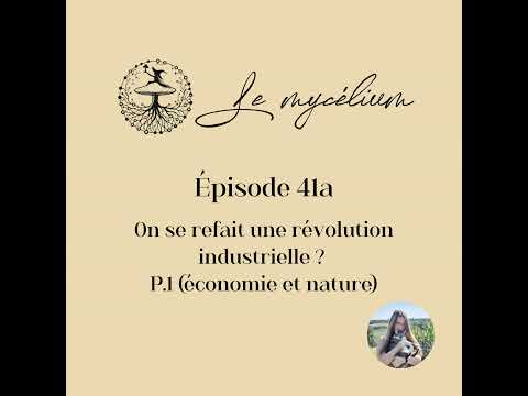 41a. On se refait une révolution industrielle ? P.1 (économie et nature)
