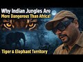 Why Indian Jungles Are More Dangerous Than Africa ! Tiger & Elephant Territory After Dark | Tigers DEFAULT Thumbnail