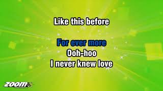 Stephanie Mills - Never Knew Love Like This Before - Karaoke Version from Zoom Karaoke