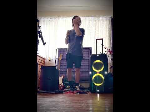 Bose L1 vs JBL Partybox 310