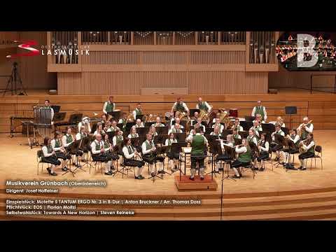 Towards A New Horizon | Steven Reineke – Musikverein Grünbach (ÖBV-Wettbewerb der Stufe B)