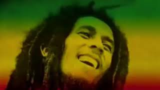 Bob Marley &amp; The Wailers - Roots Rock Reggae (Dub Remix)