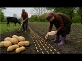 AZERBAIJAN Rural Life How To Grow Peanuts In The Mountain Village