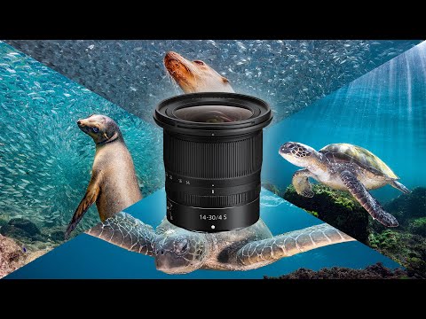 Nikon Z 14-30mm f/4 S Lens Review for Underwater Photography & Video