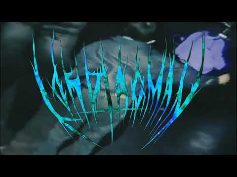 Johnny Cage - LORD TAGMAN