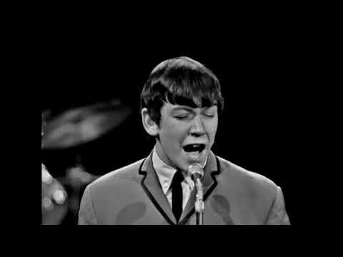 The Animals performing House of the Rising Sun