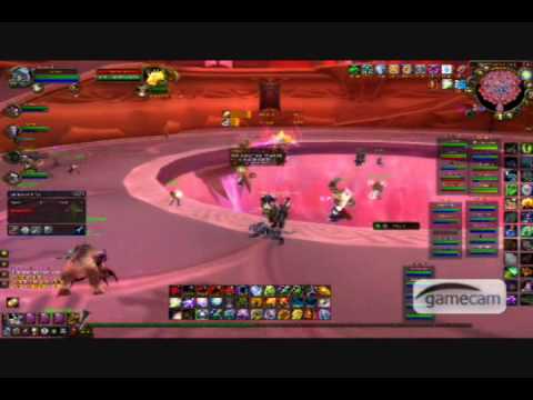 Elemental Shaman on A'lar the Phoenix God in Tempest Keep