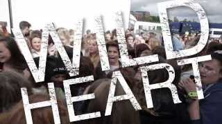 Wild Heart Official Lyric Video