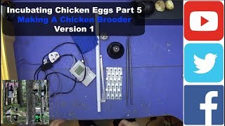 Incubating Chicken Eggs Part 5 | Making A Chicken Brooder Version 1 | Super simple tips & tricks