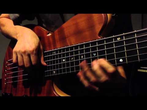 Wood & Tronics 6-String Hollowbody Bass