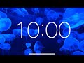 10 Minute Timer - Relaxing Music