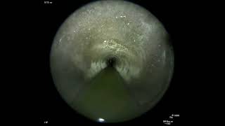 デジスーワHD  直視映像