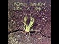 Kenny Rankin - Like A Seed 1972