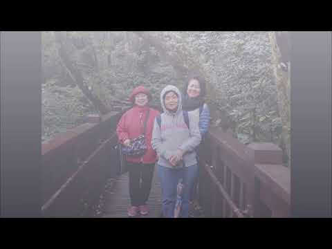 A estrada que percorremos Trilha Erziping, Yangmingshan Nat Park, Taipei